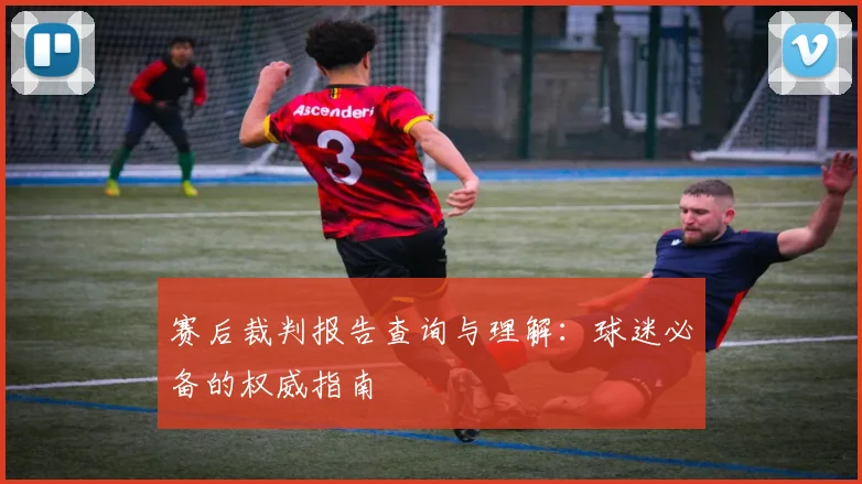赛后裁判报告查询与理解：球迷必备的权威指南