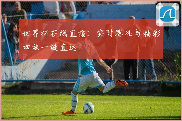 世界杯在线直播：实时赛况与精彩回放一键直达