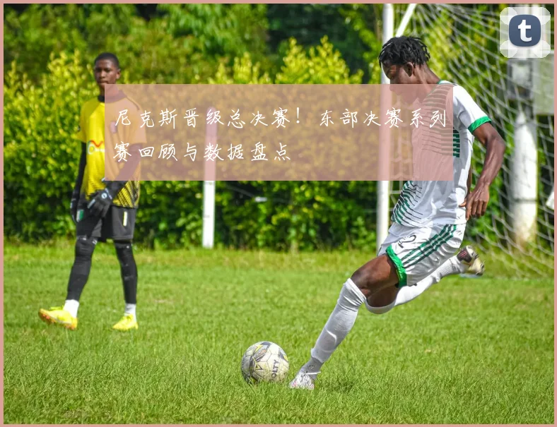 尼克斯晋级总决赛！东部决赛系列赛回顾与数据盘点